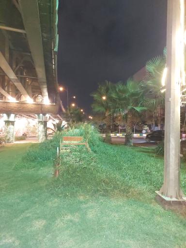 عکس میدان شقایق