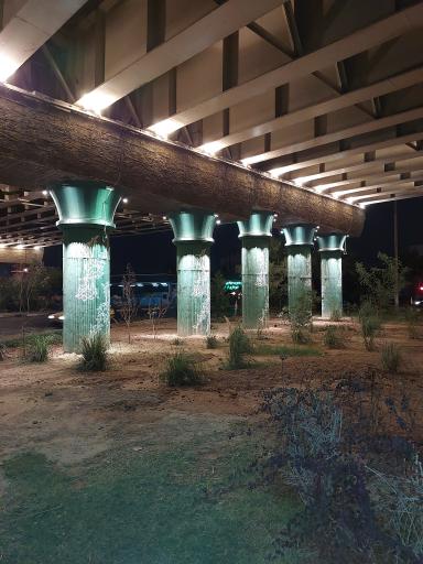 عکس میدان شقایق