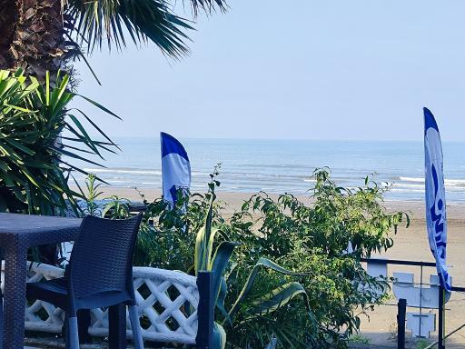 عکس کافه رستوران نارین 