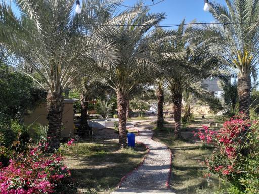 عکس کافه رستوران باغ انار