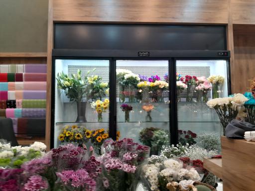 عکس گل ماکیا