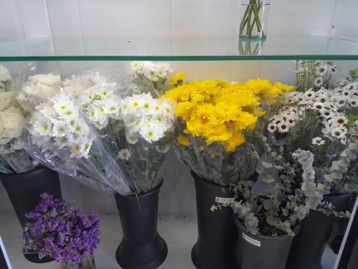 عکس گل ماکیا