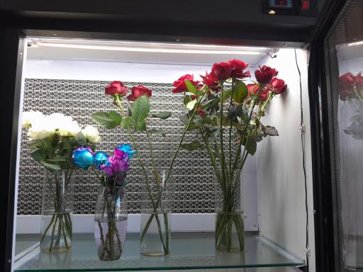 عکس گل ماکیا