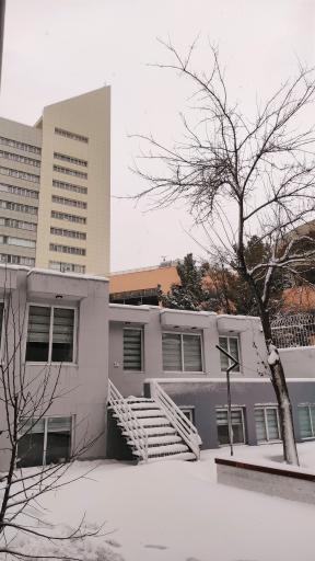 عکس فضای کار اشتراکی 24