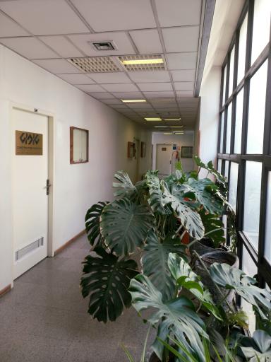 عکس دانشکده مهندسی مکانیک دانشگاه تهران