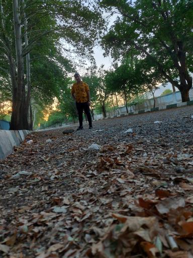 عکس پارک چهارباغ