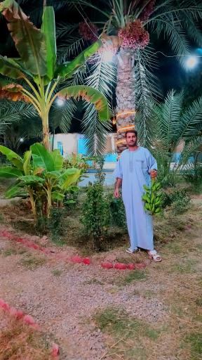 عکس کافه رستوران باغ انار