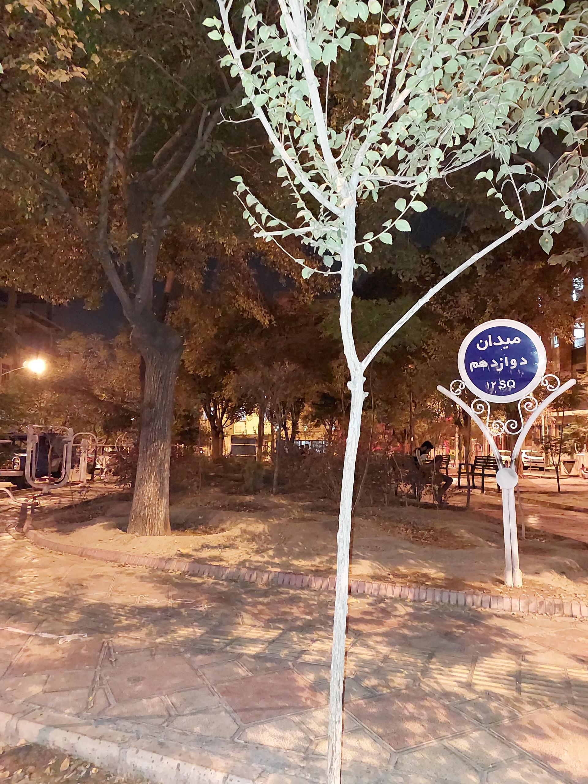 عکس میدان دوازدهم