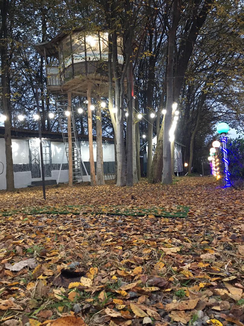 عکس کافه باغ قاصدک