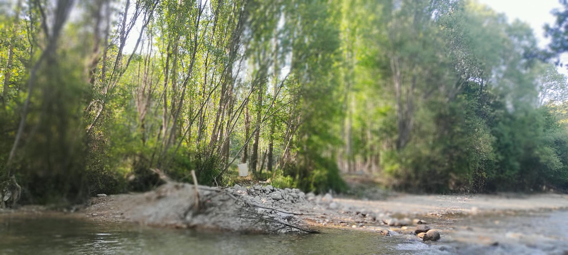 عکس باغ گرین وود