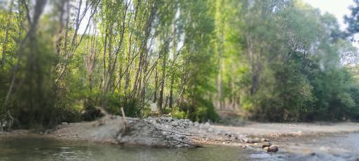 عکس باغ گرین وود