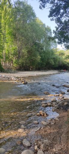 عکس باغ گرین وود