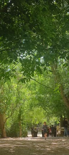 عکس باغ گرین وود