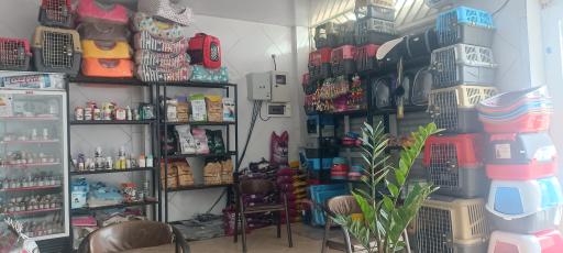 عکس کلینیک دامپزشکی