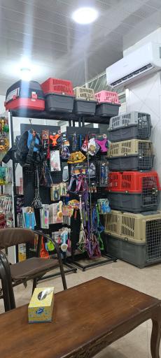 عکس کلینیک دامپزشکی