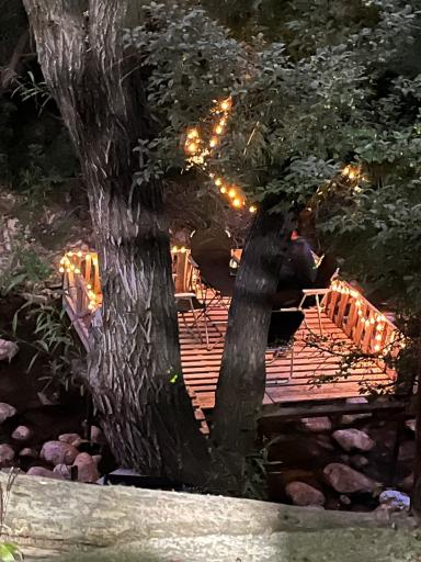 عکس باغ گرین وود