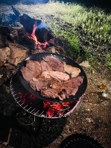 عکس باغ گرین وود