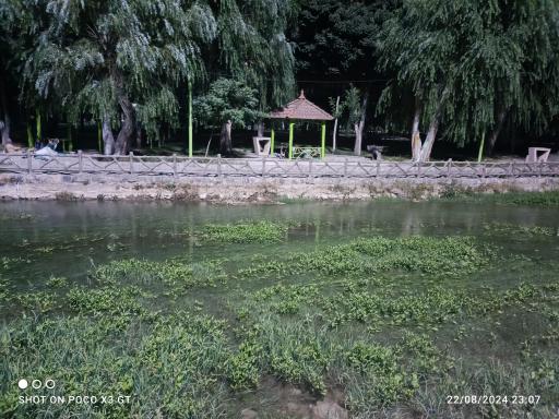 عکس پارک ساحلی