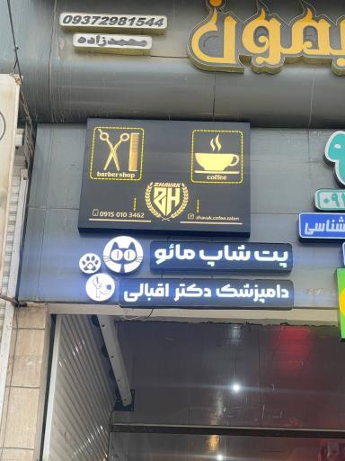 عکس پت شاپ مائو دکتر اقبالی