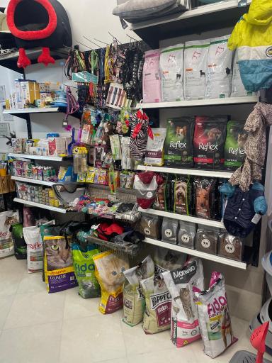 عکس پت شاپ مائو دکتر اقبالی