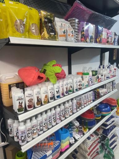 عکس پت شاپ مائو دکتر اقبالی