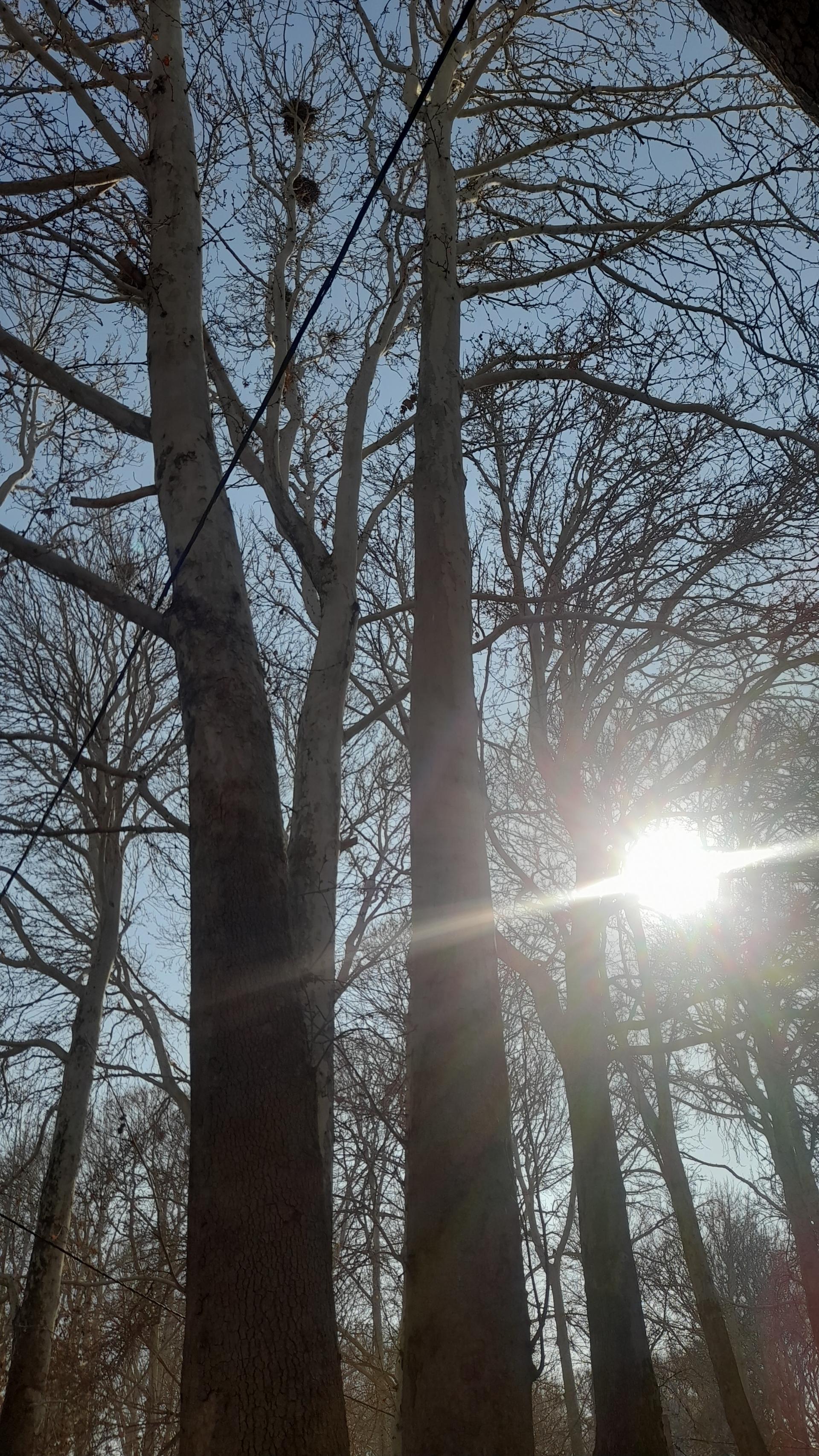 عکس پارک شهرداری