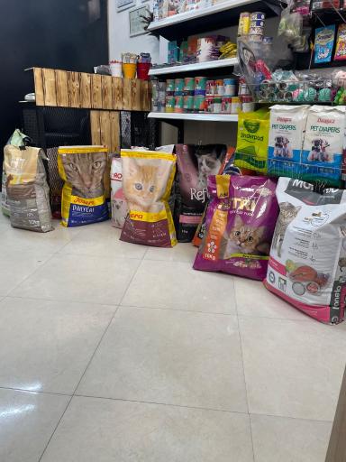 پت شاپ مائو دکتر اقبالی