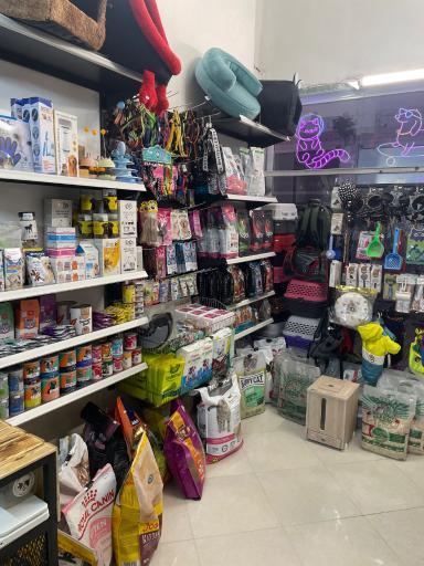 پت شاپ مائو دکتر اقبالی