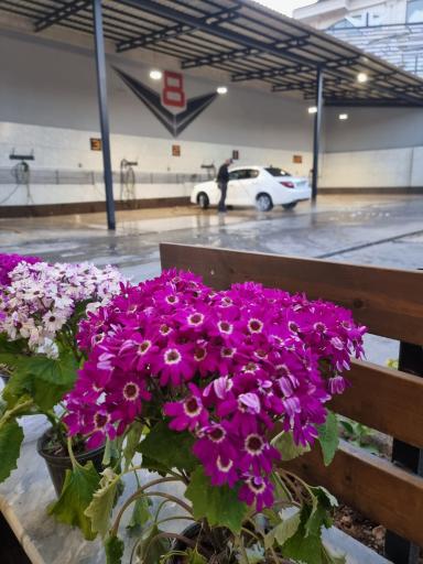 عکس کارواش و دیتیلینگ V8