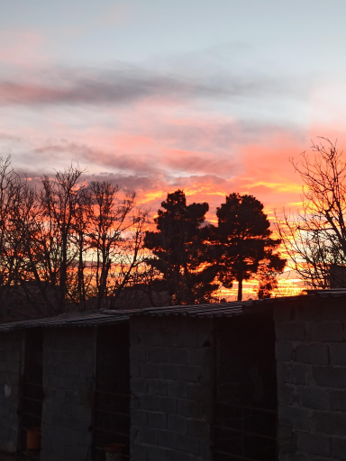 عکس باشگاه سوارکاری هاکان