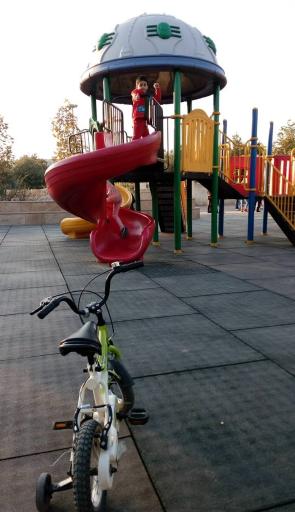 عکس پارک بازی گل نرگس