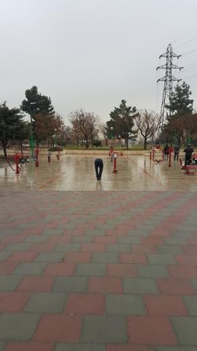 عکس پارک بازی گل نرگس