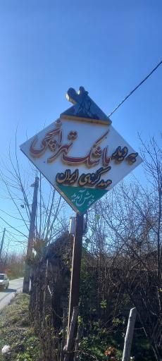 عکس ماشک تهرانچی