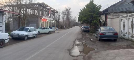 عکس ماشک تهرانچی
