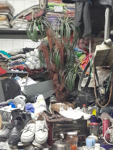 عکس تعمیر کتونی اورجینال فردوس