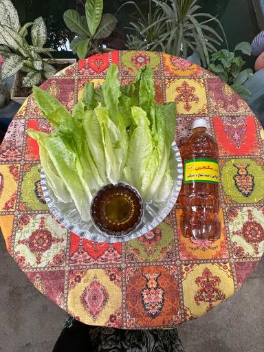 عکس عرقیجات سنتی باغ ارباب