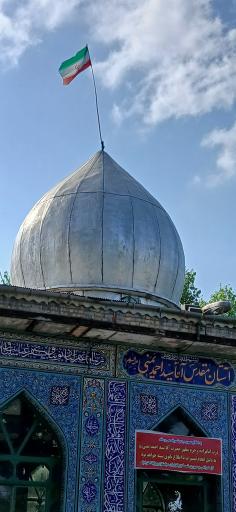 عکس ماشک تهرانچی