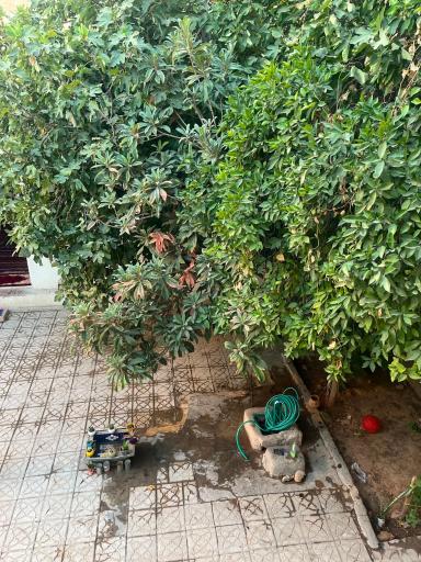 عکس گالری هنری ونوس