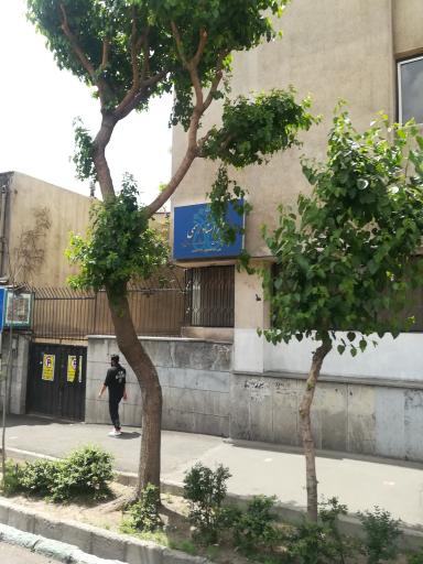 عکس دفتر اسناد رسمی شماره 657