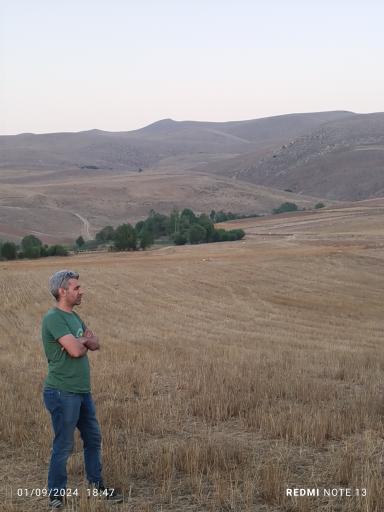 عکس چهره برق
