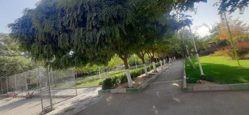 عکس بوستان گلاب