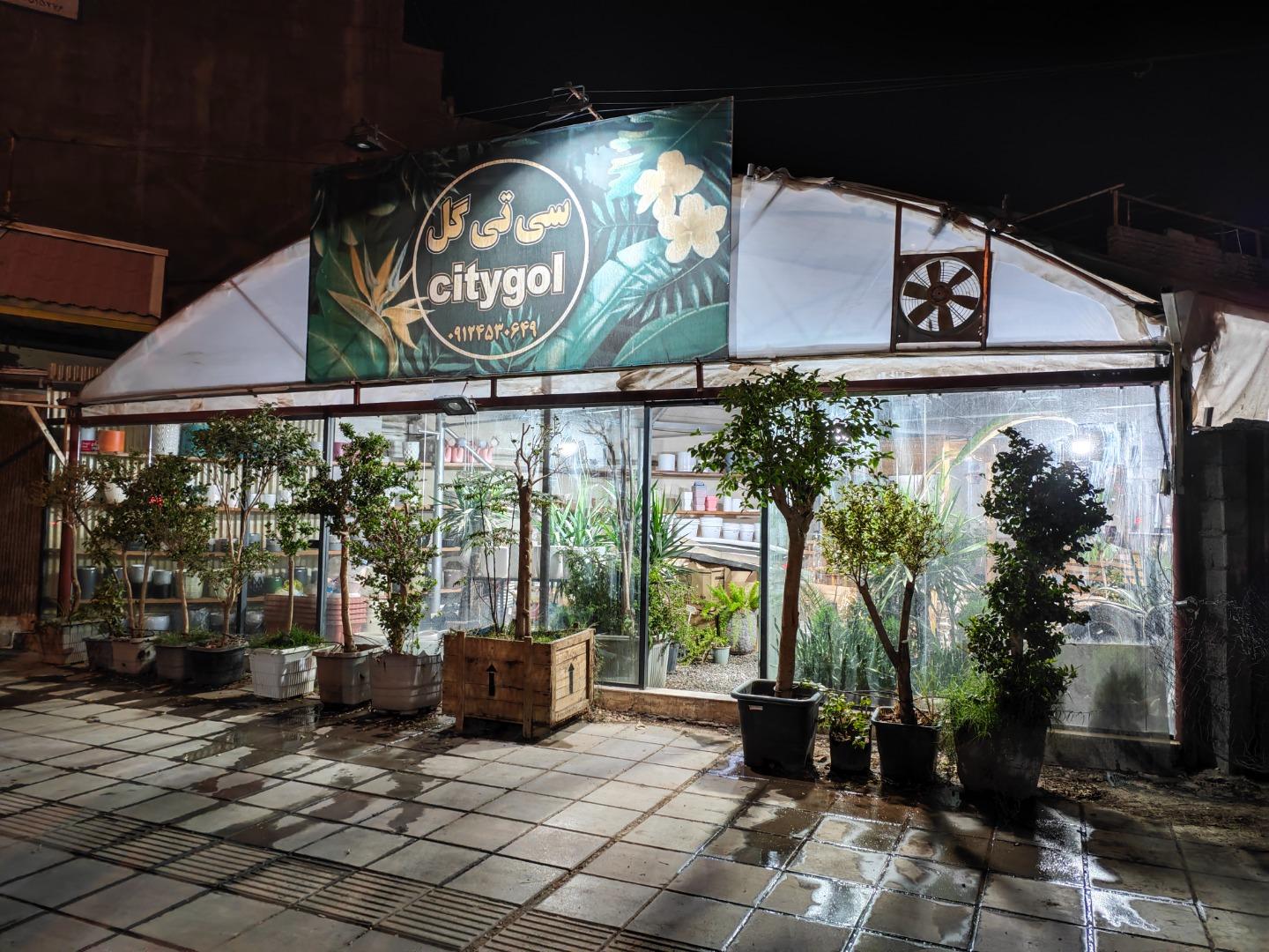 عکس گلخانه سی‌تی گل