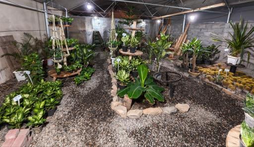 گلخانه سی‌تی گل