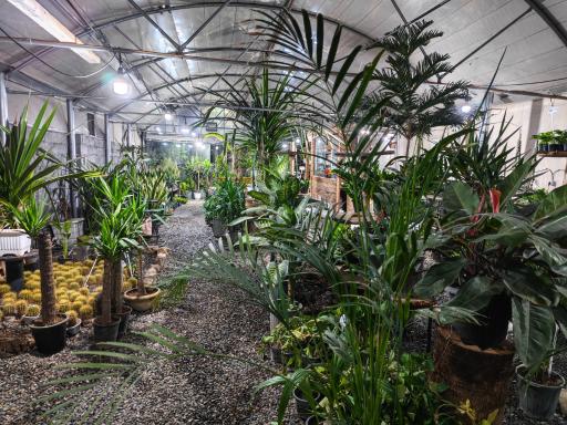 گلخانه سی‌تی گل