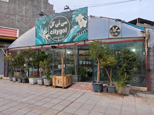 گلخانه سی‌تی گل