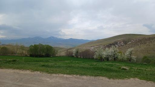 عکس چهره برق