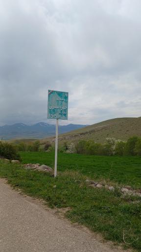 عکس چهره برق