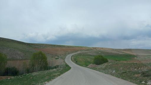 عکس چهره برق