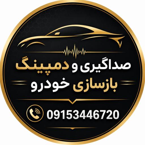 عکس صداگیری و دمپینگ تخصصی احد