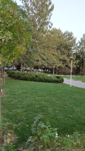 عکس بوستان گلاب